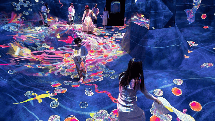 Interactive Wall Activation